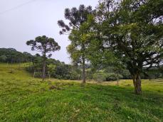 listing-small