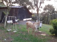 listing-small
