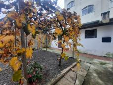 listing-small