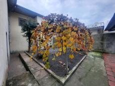 listing-small