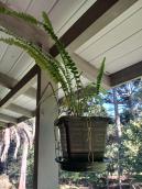 listing-small