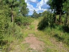 listing-small