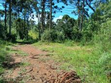 listing-small