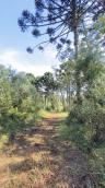 listing-small