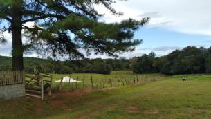 listing-small