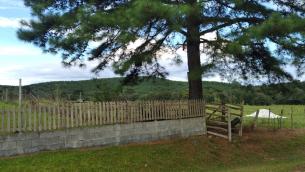 listing-small