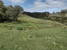 listing-small