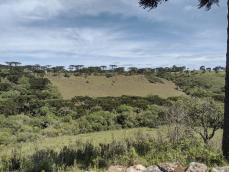 listing-small