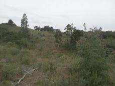 listing-small
