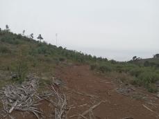 listing-small