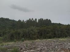 listing-small