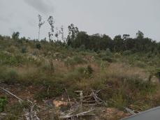 listing-small