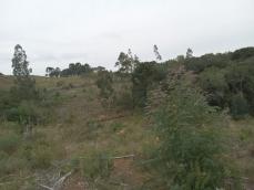 listing-small