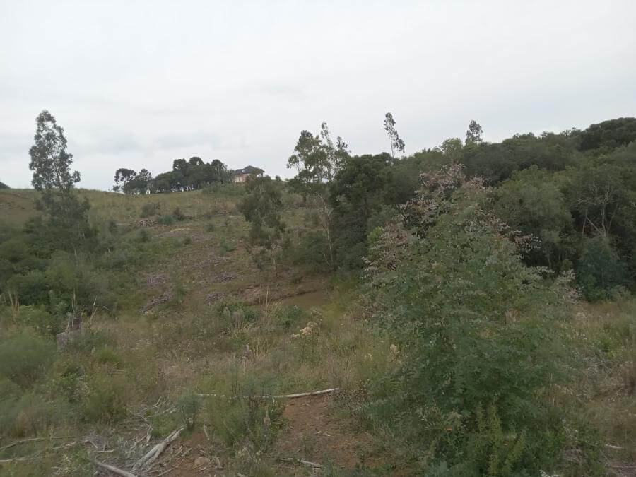 slider-listing
