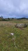 listing-small