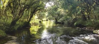 listing-small