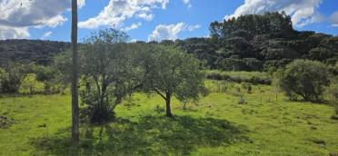 listing-small