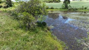 listing-small
