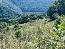 listing-small