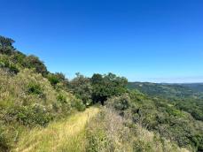 listing-small
