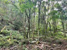 listing-small